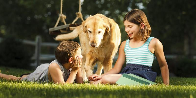 Children with dog