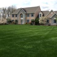 House with beautiful front yard